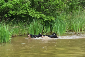 Badezeit