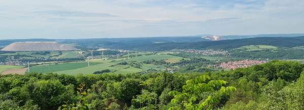 Oechsen