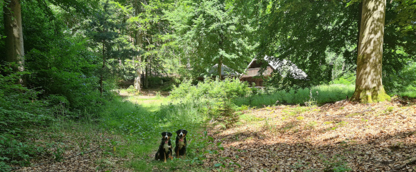 Hautsee - Hütte