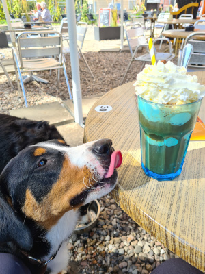 Eis