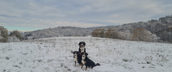 Schnee