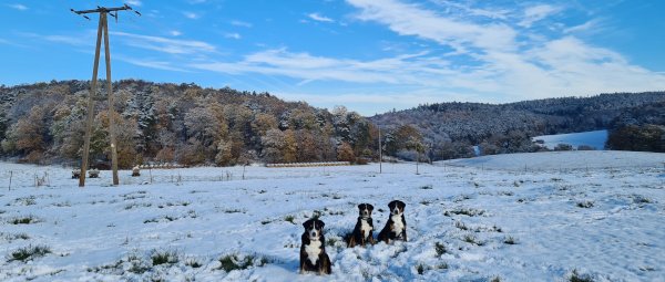 Schnee