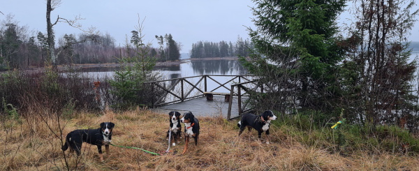 Wanderung Urlaub