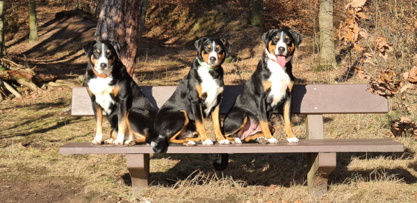 Bei Sonnenschein auf der Bank