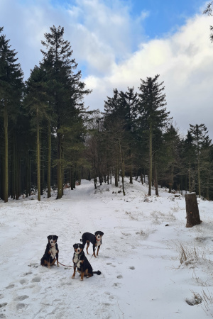 Schnee und blauer Himmel
