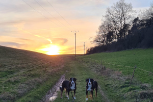 Spaziergang im Januar