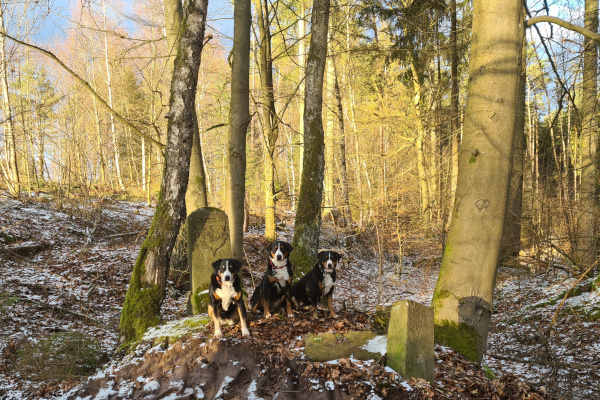 Grenzsteine