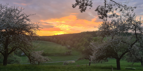 Abendrot