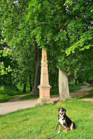 Hanna on Tour