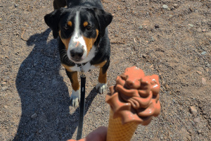 Eis