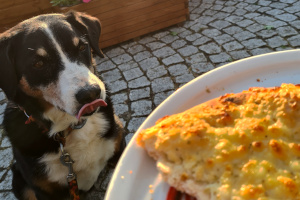 Geburtstagspizza