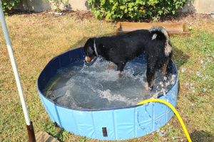 Hanna Pool