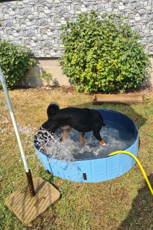 Hanna Pool