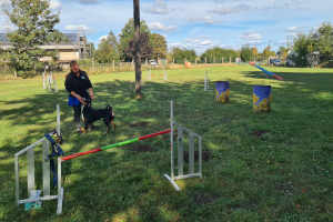 Agility