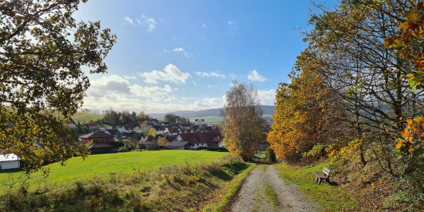 Sonne im November