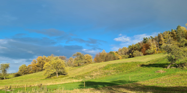 Sonne im November