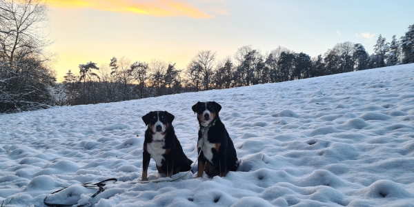 Sonnentuntergang im Winter - Tiefenort