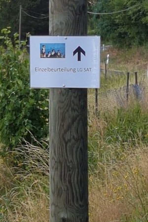 Einzelbeurteilung