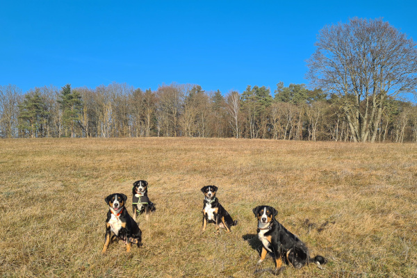 Gang am Pfarrkopf