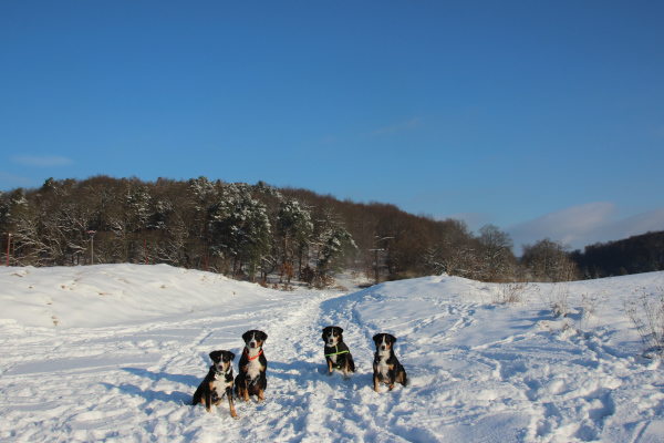 Winterwonderland