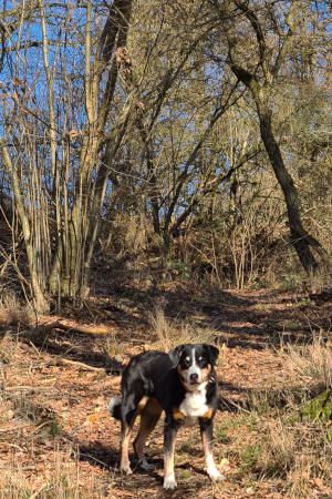 Ellie