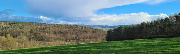 Frühlingserwachen