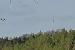 Krayenburg