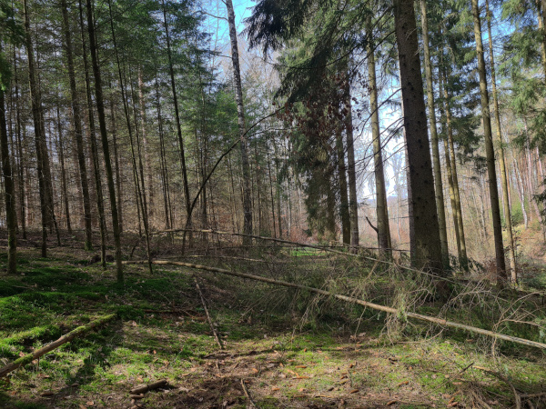 Wegsperrung