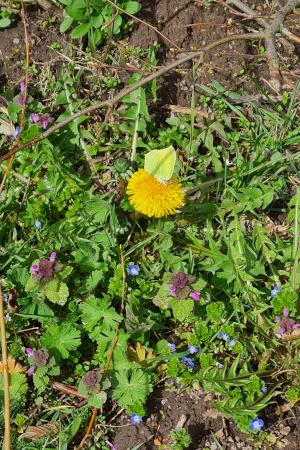es wird bunt