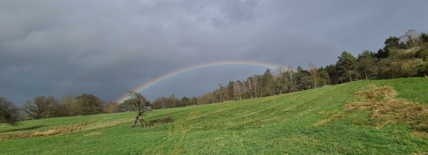 Regenbogen Försterrain