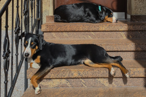 Ein Platz an der Sonne