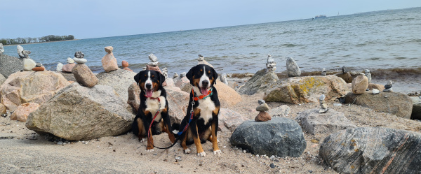 am Meer