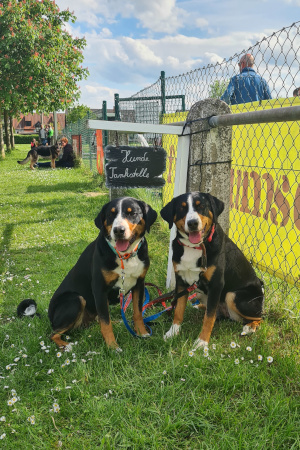 Hundetankstelle
