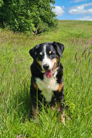 13 Jahre