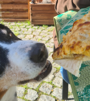 Pizzaessen