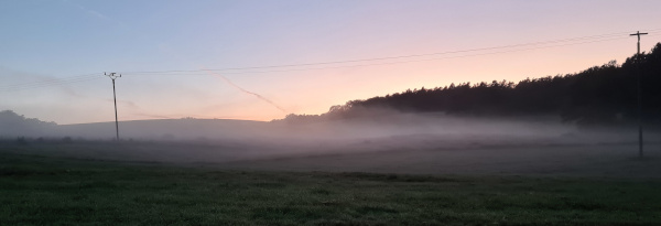 Nebel im Sommer
