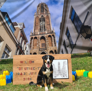 Hanna Utrecht