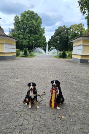 CACIB Ludwigshafen