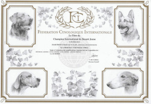 Internationaler Jugendchampion