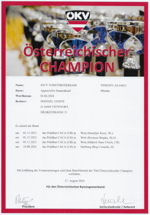 Champion