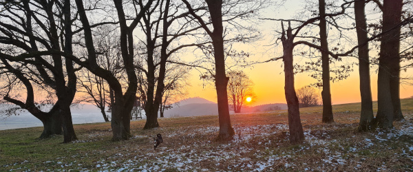Pfarrkopf Abendrot