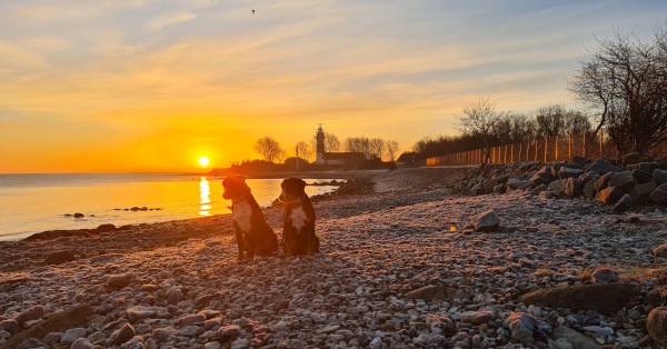 Sonnenaufgang am Meer