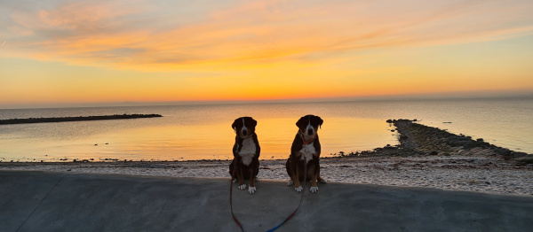 Sonnenaufgang am Meer