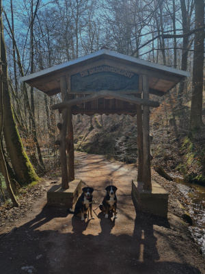 Drachenschlucht