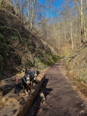Drachenschlucht