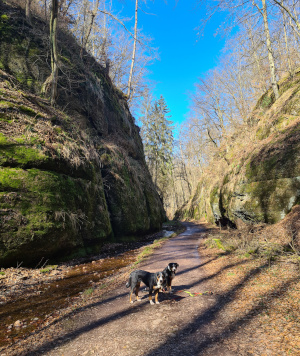 Landgrafenschlucht