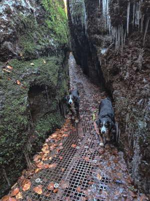 Drachenschlucht