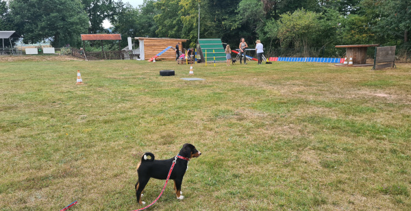 Siwa Schuleinführung