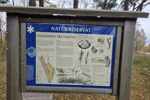 Naturreservat