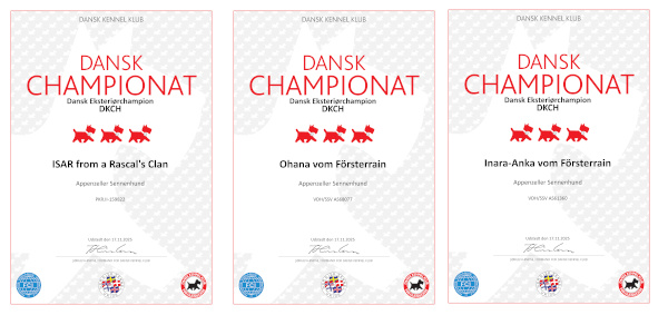 3 mal dänsicher Champion